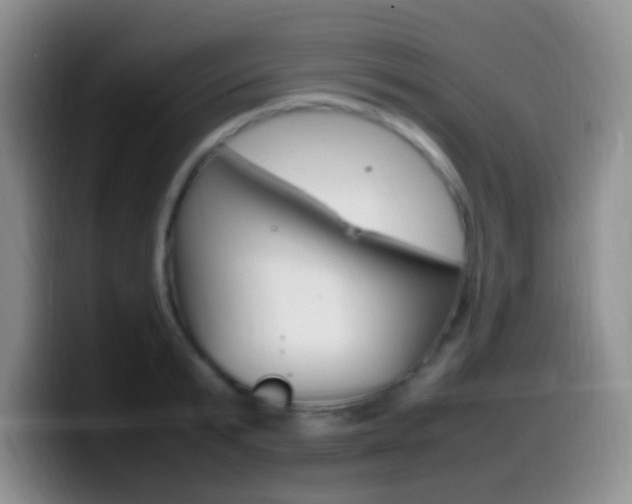 X0000099980799200805231022
