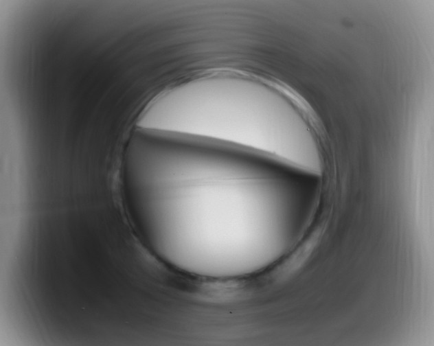 X0000099980801200805231022