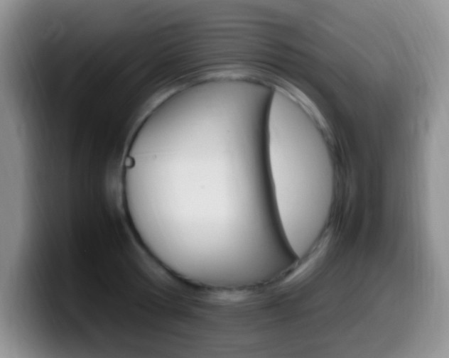 X0000099980802200805231022
