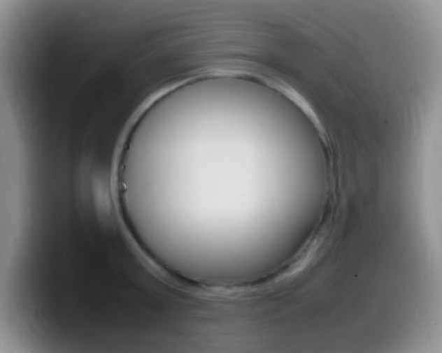X0000099980803200805231022