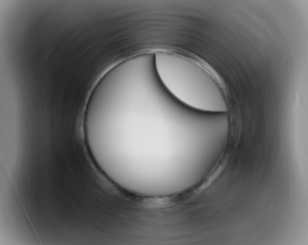 X0000099980810200805231022