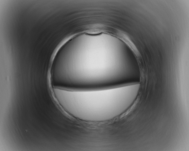 X0000099980812200805231022