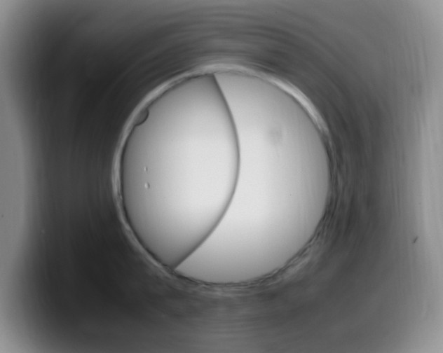 X0000099980815200805231022