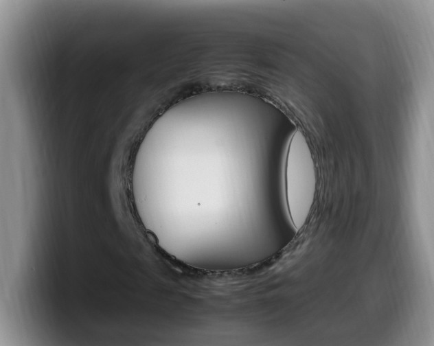 X0000099980817200805231021