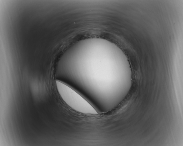 X0000099980818200805231021