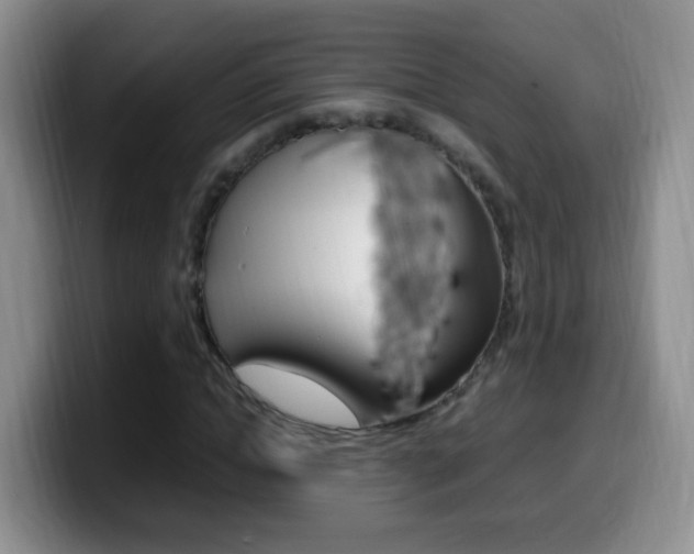 X0000099980822200805231021