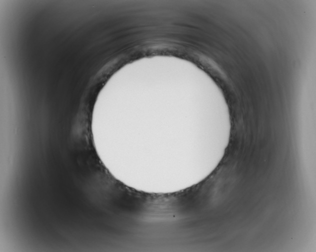 X0000099980824200805231021