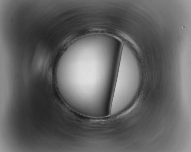 X0000099980825200805231021