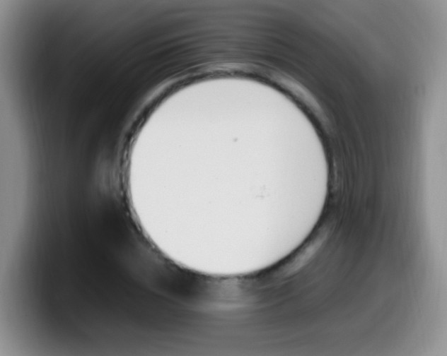 X0000099980828200805231021