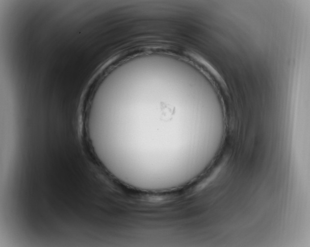 X0000099980829200805231021