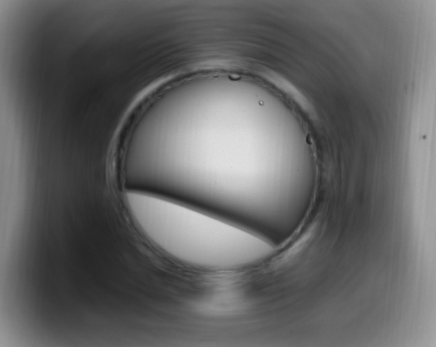 X0000099980830200805231021