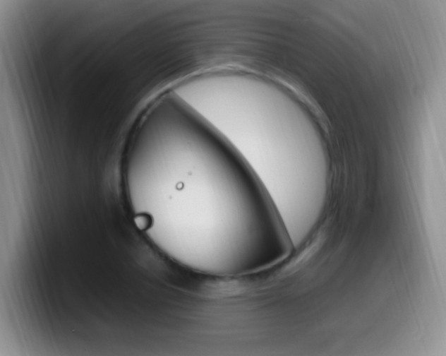 X0000099980834200805231021