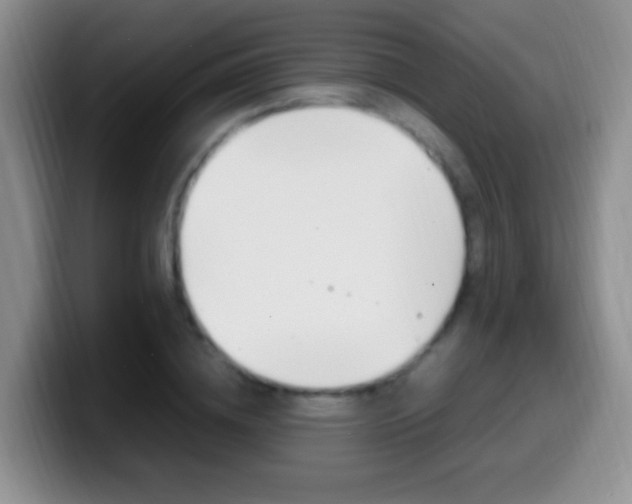 X0000099980836200805231021