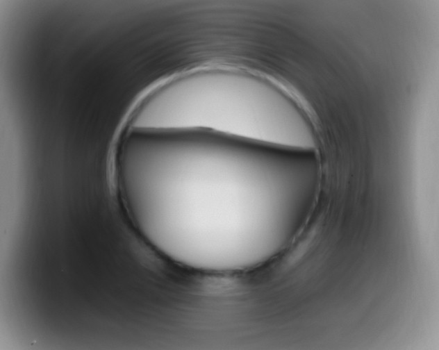 X0000099980838200805231021
