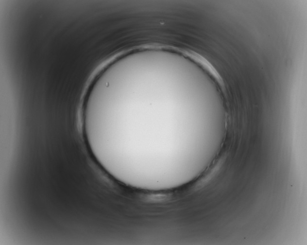 X0000099980839200805231021