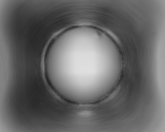 X0000099980840200805231021