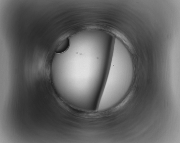 X0000099980841200805231021