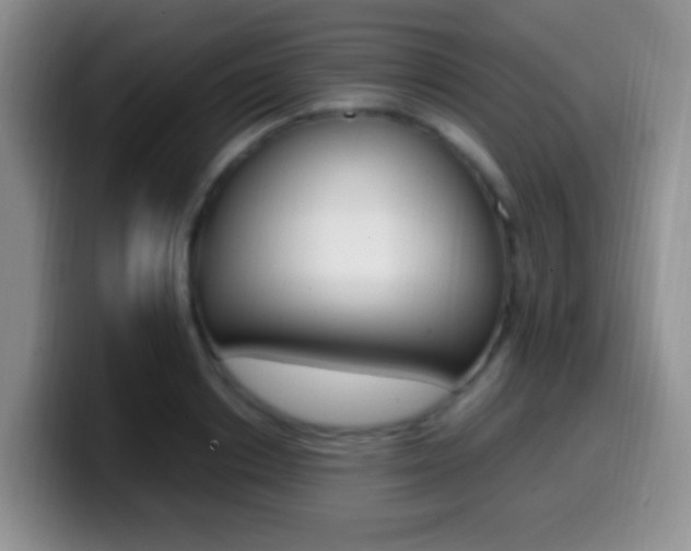 X0000099980842200805231021