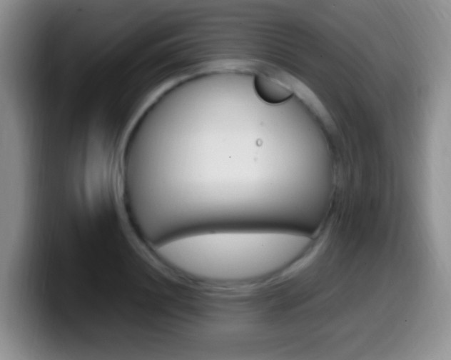 X0000099980844200805231021