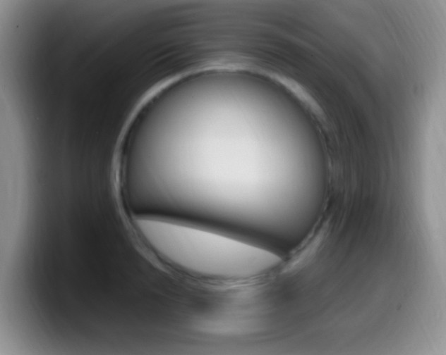 X0000099980846200805231021