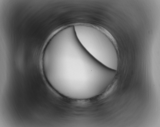 X0000099980847200805231021