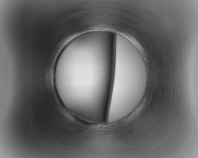 X0000099980854200805231021