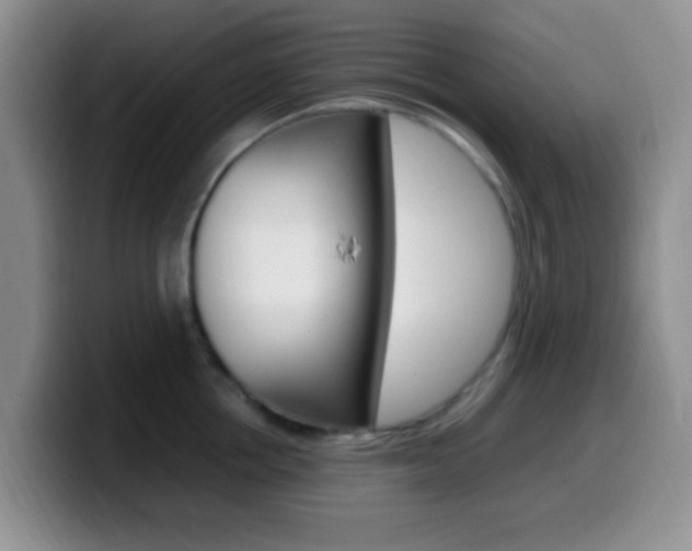 X0000099980858200805231021