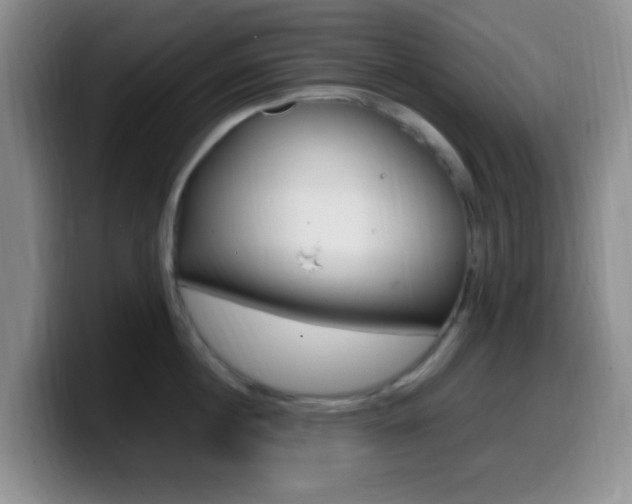 X0000099980860200805231021