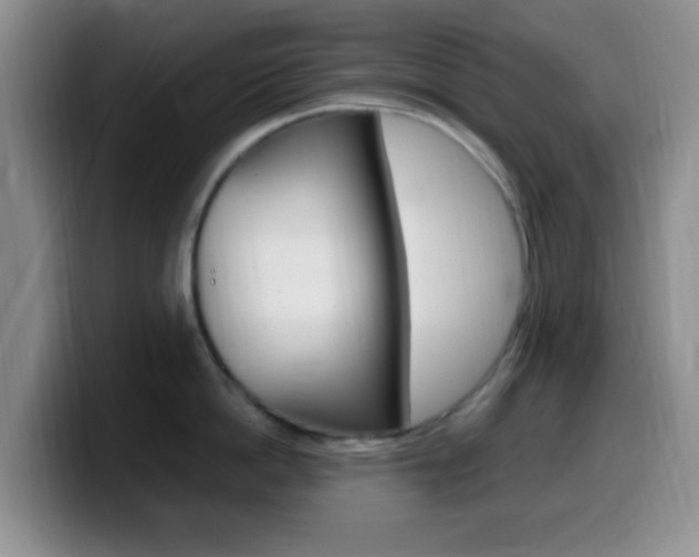 X0000099980862200805231021