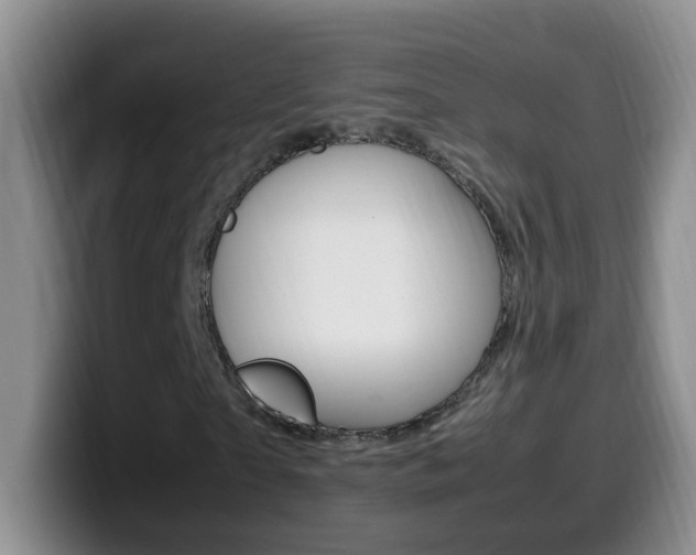 X0000099980865200805231021