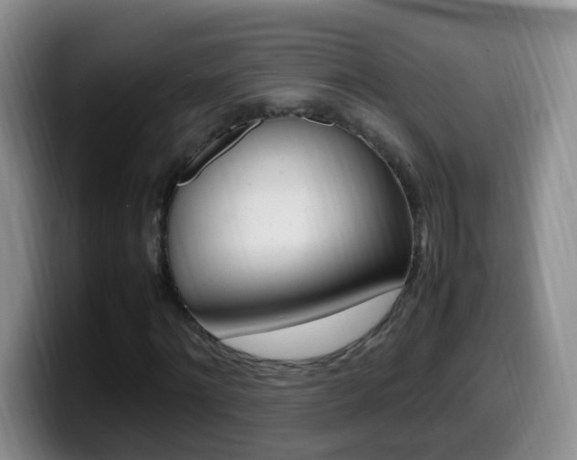 X0000099980868200805231021