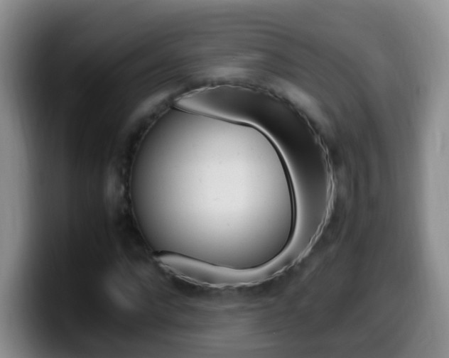X0000099980872200805231021