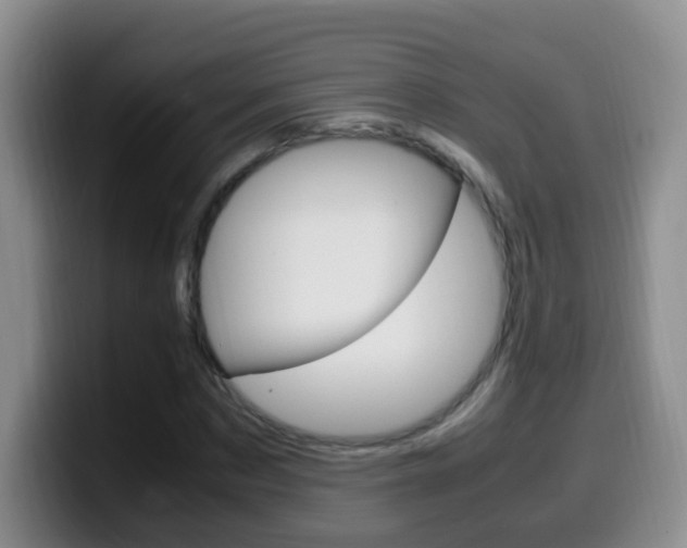 X0000099980873200805231021