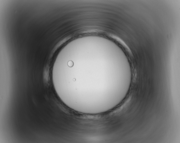 X0000099980874200805231021