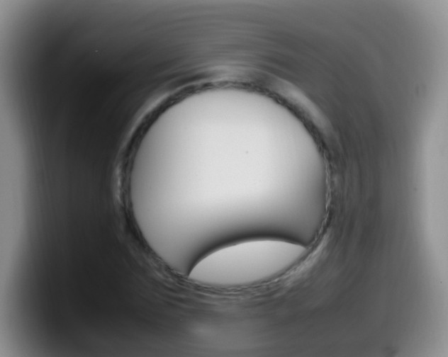X0000099980875200805231021