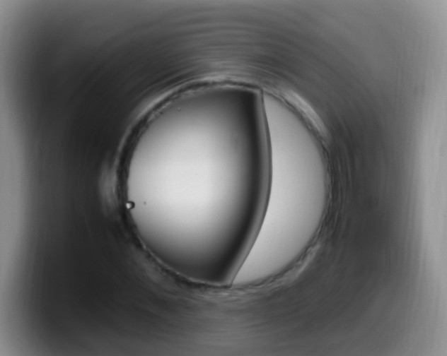 X0000099980876200805231021