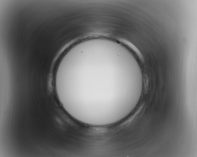 X0000099980878200805231021