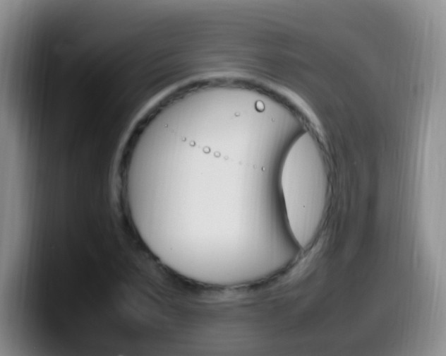 X0000099980879200805231021