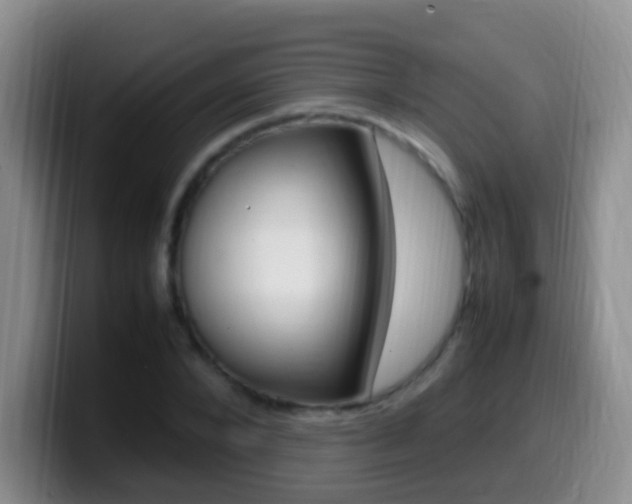 X0000099980880200805231021