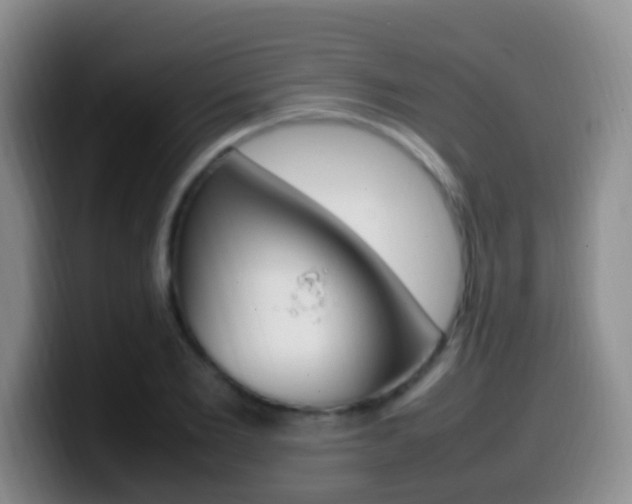 X0000099980885200805231021
