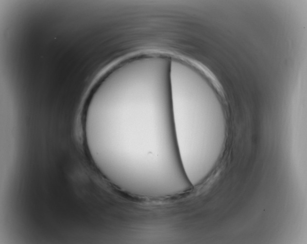 X0000099980887200805231021