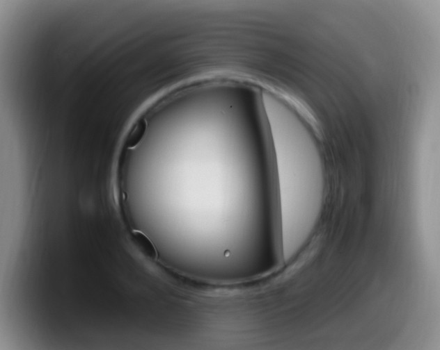 X0000099980888200805231021