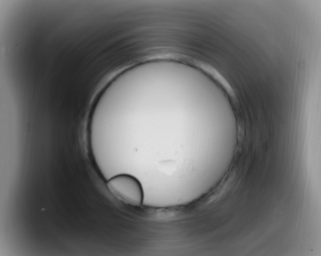 X0000099980890200805231021