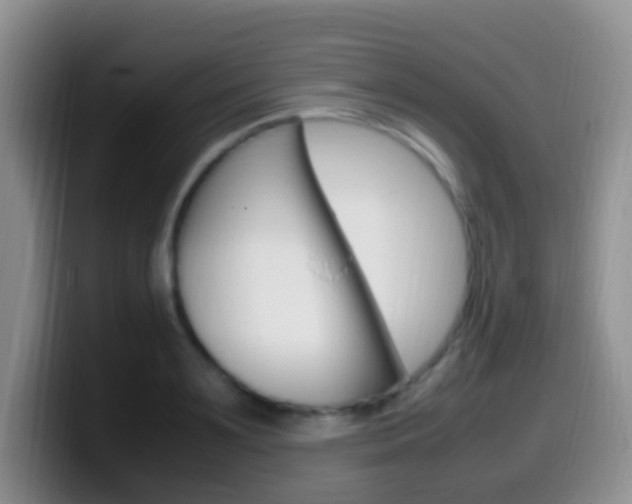 X0000099980891200805231020