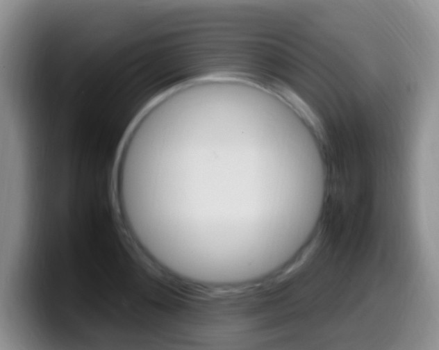 X0000099980892200805231020