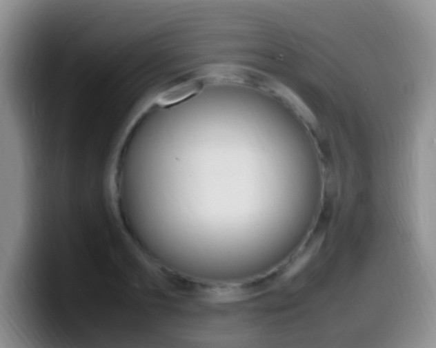 X0000099980893200805231020