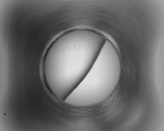 X0000099980895200805231020