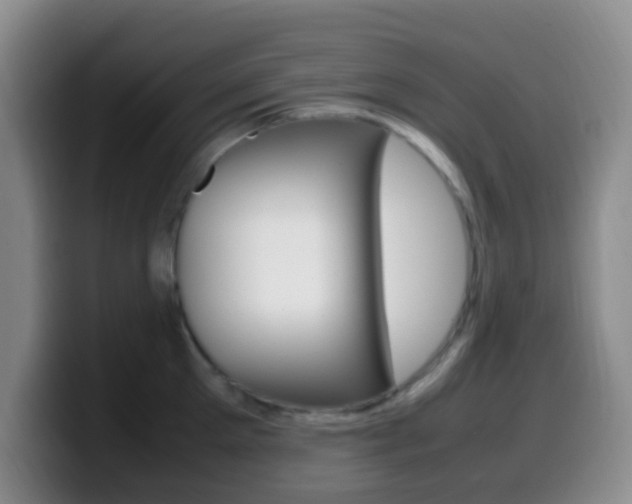 X0000099980905200805231020