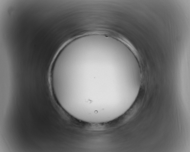 X0000099980907200805231020