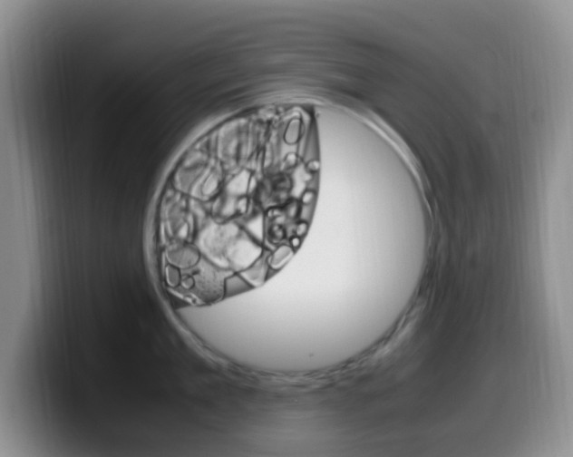 X0000099980909200805231020